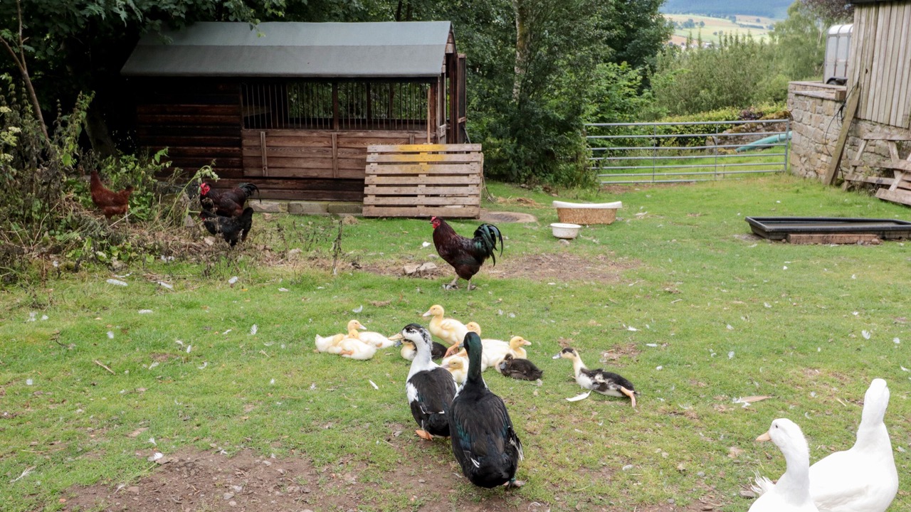 Photo of Others in Rothbury