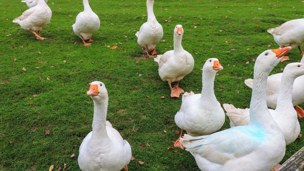 Photo of Others in Rothbury