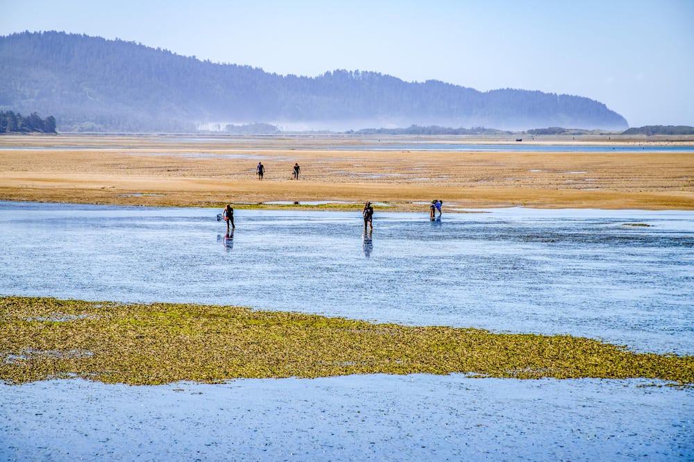 Photo of Outdoor in Netarts