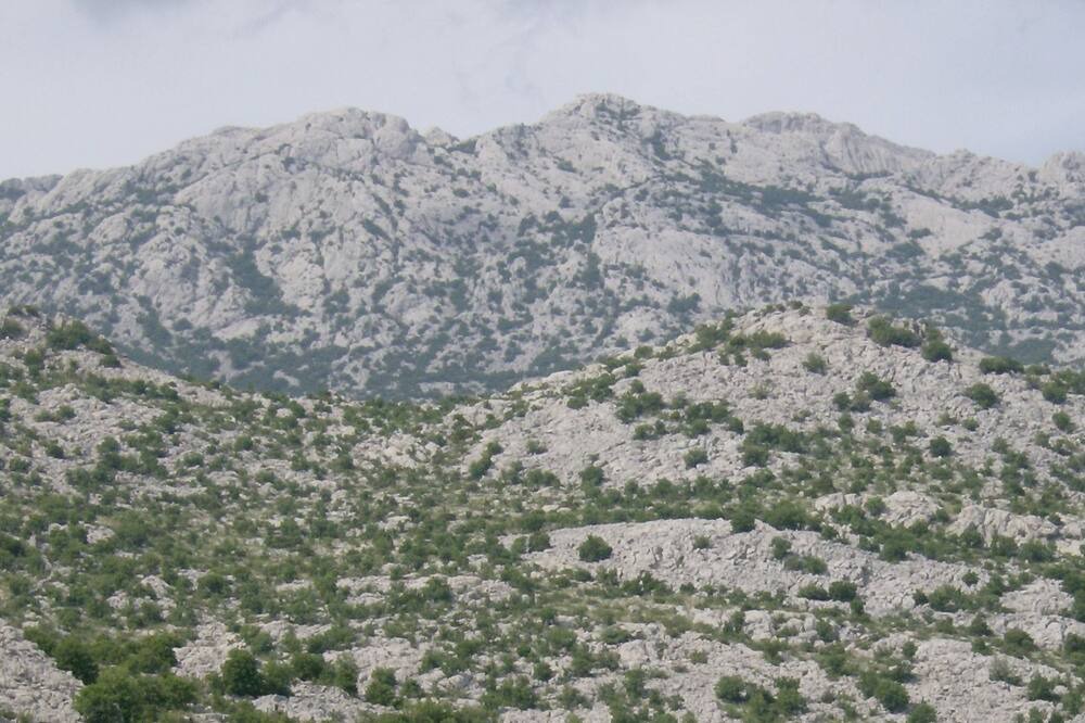 Photo of Others in Starigrad
