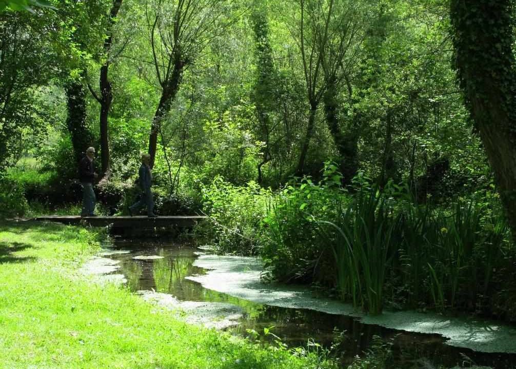 Photo of Outdoor in Olot