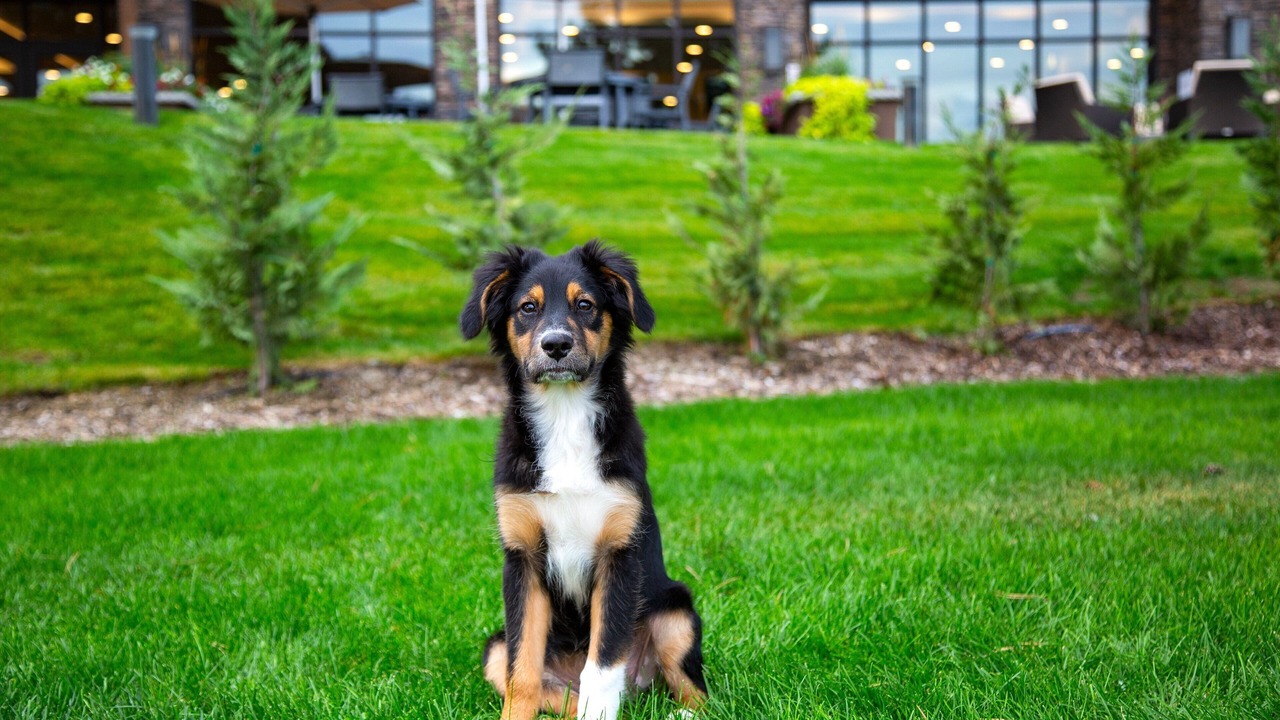 Photo of Outdoor in Wenatchee