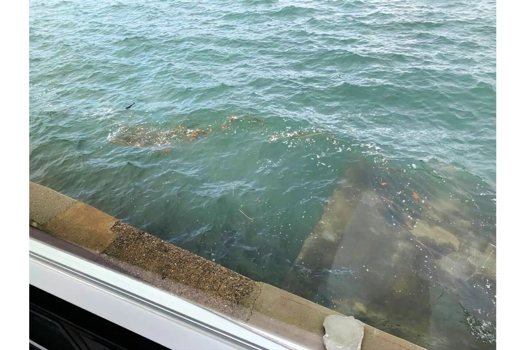 Photo of Others in North Weymouth