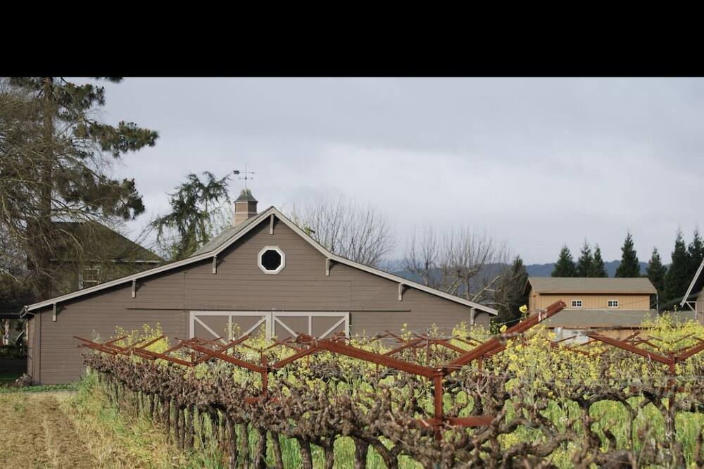 Photo of Others in Napa