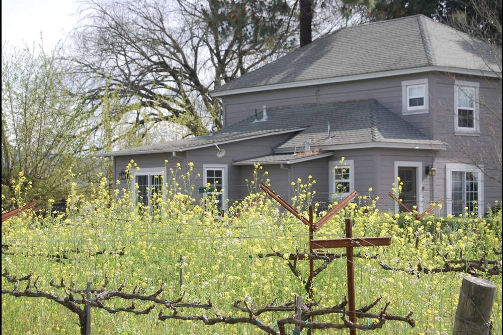 Photo of Outdoor in Napa