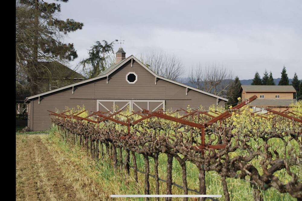Photo of Outdoor in Napa