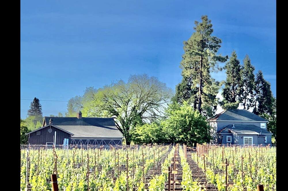 Photo of Others in Napa