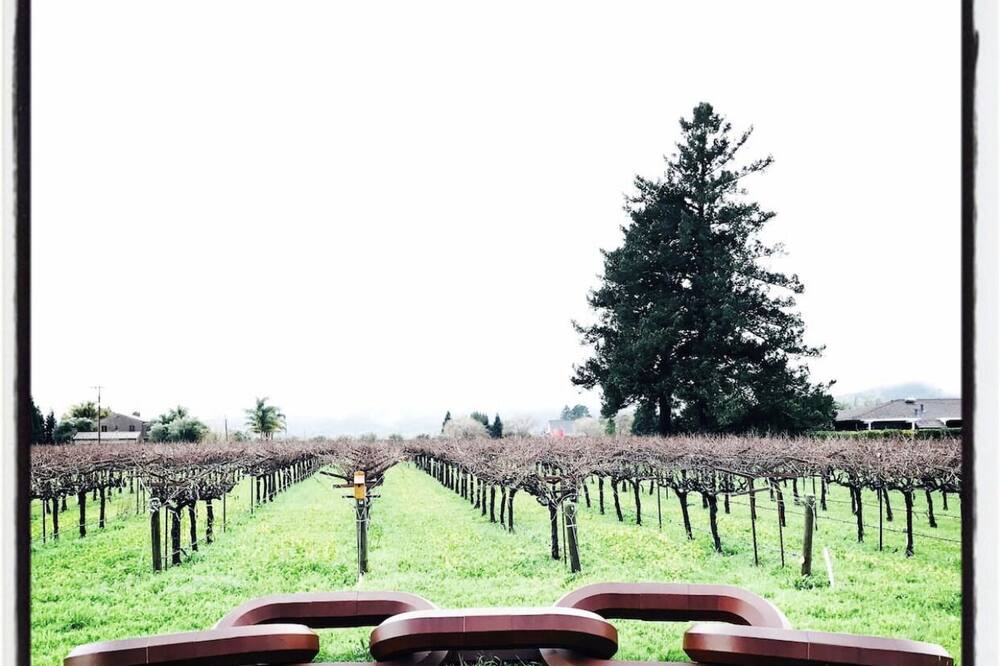 Photo of Others in Napa