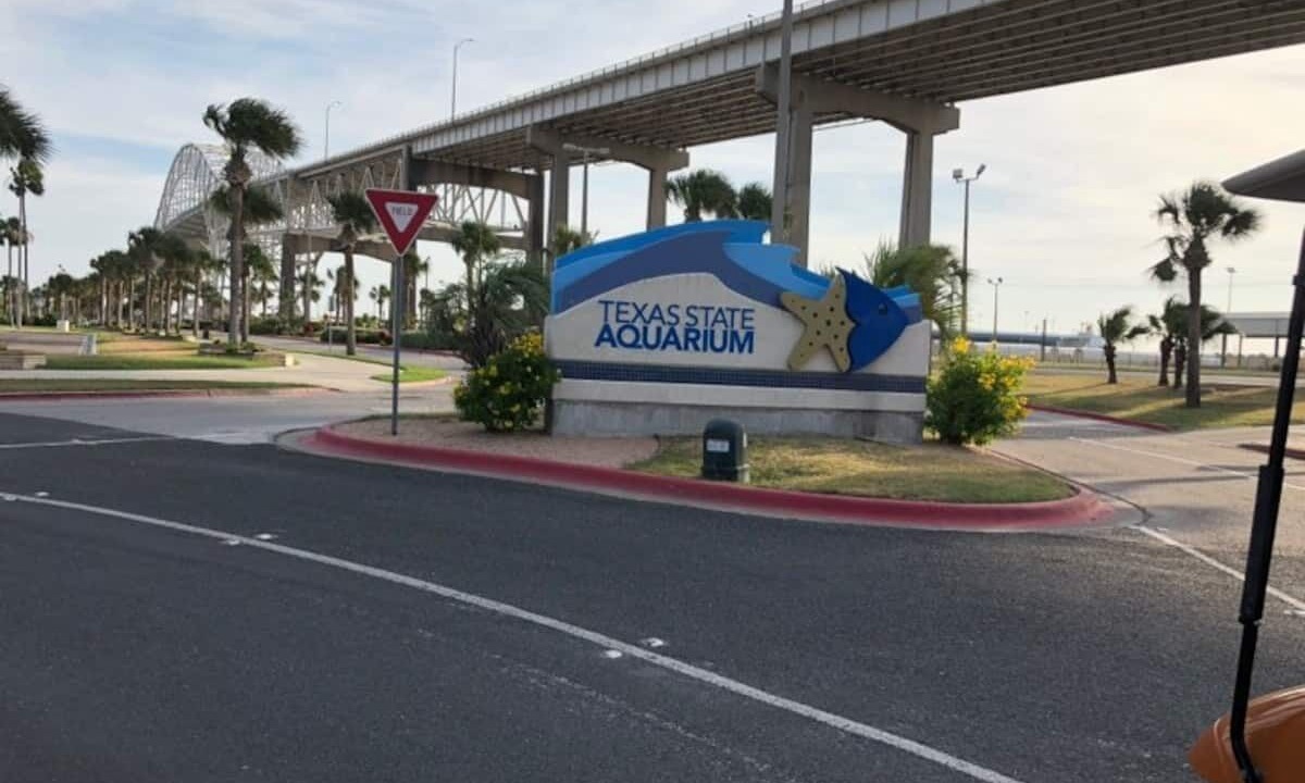 Photo of Others in North Beach