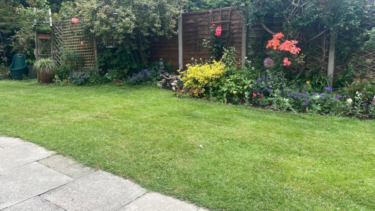 Photo of Others in Trafford