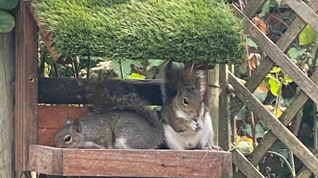 Photo of Others in Trafford