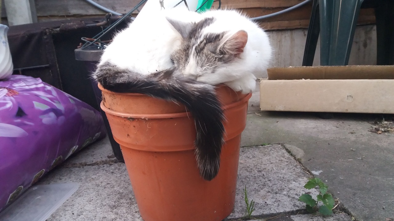 Photo of Others in Trafford