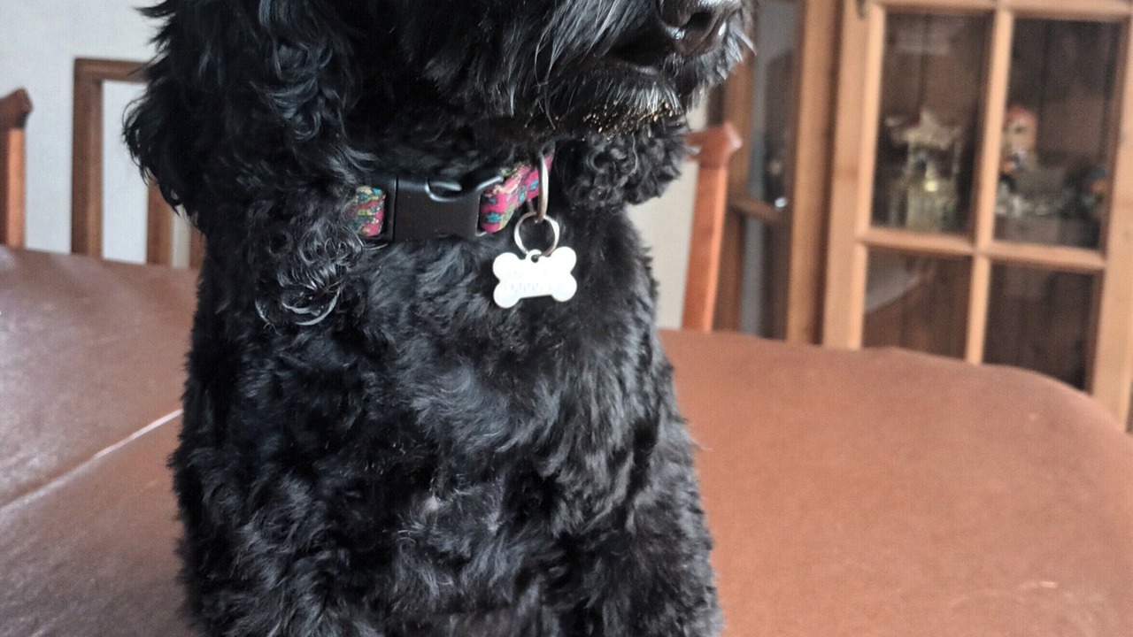 Photo of Others in Trafford