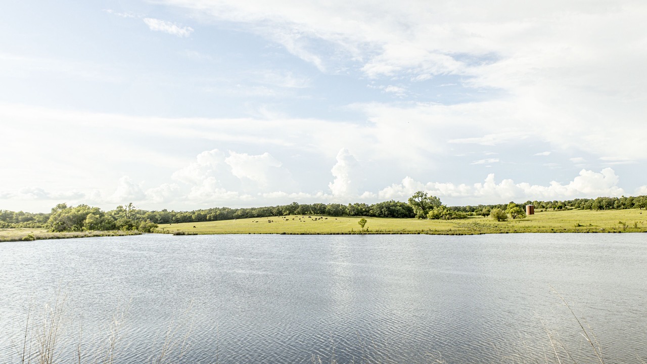 Photo of Outdoor in Grady County