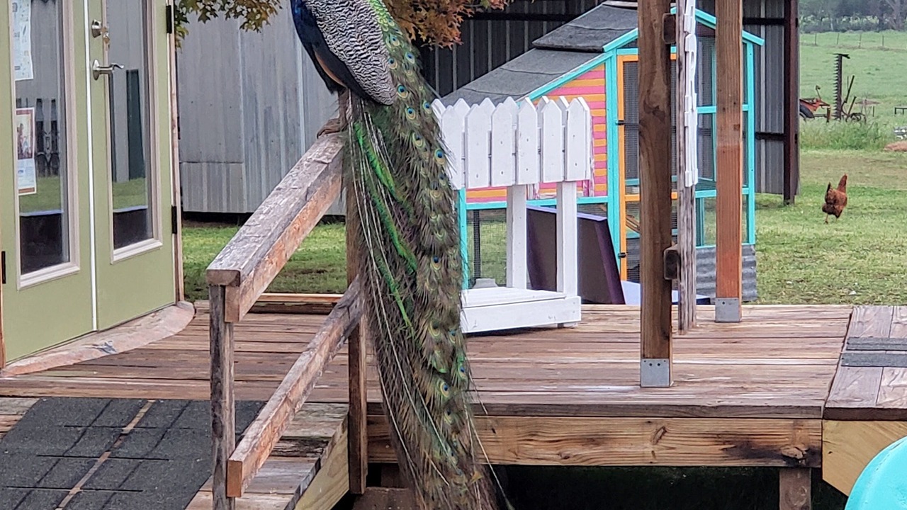 Photo of Outdoor in Grady County