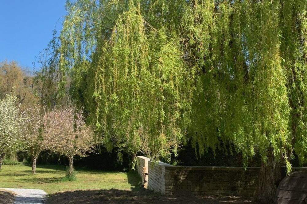 Photo of Outdoor in Banville