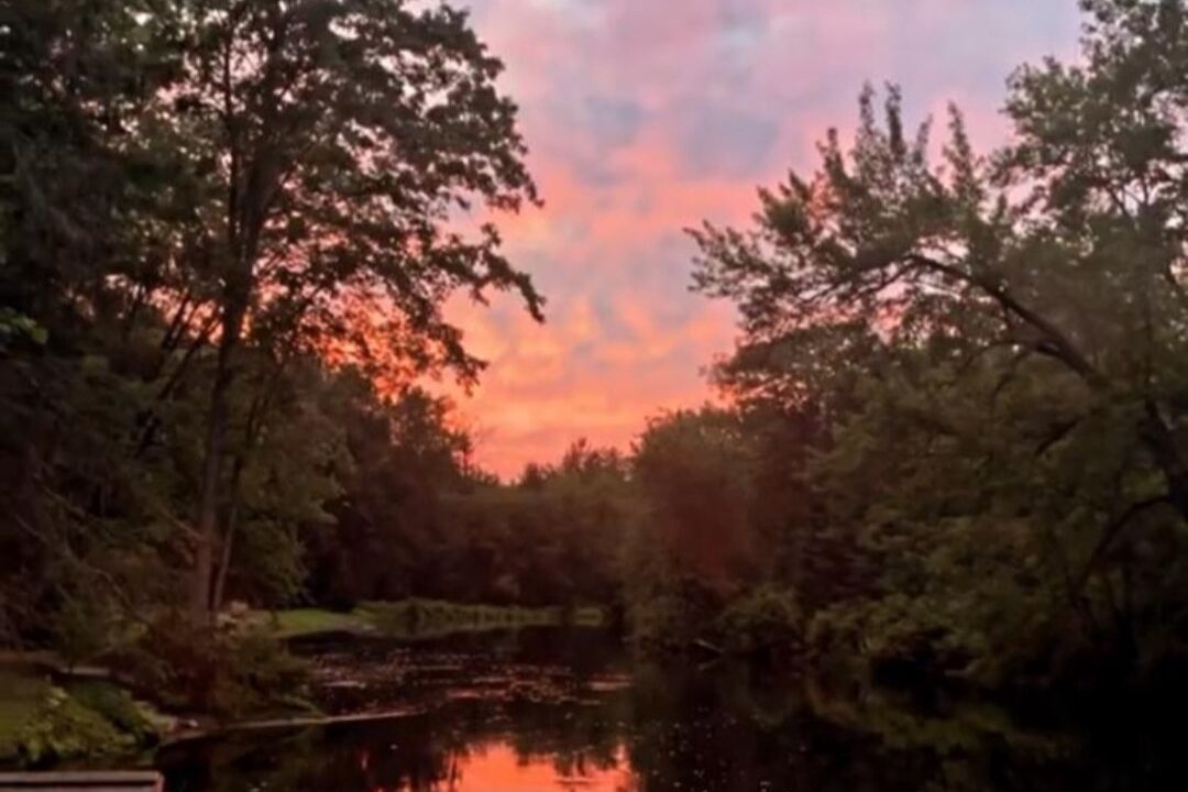 Photo of Outdoor in Sebright