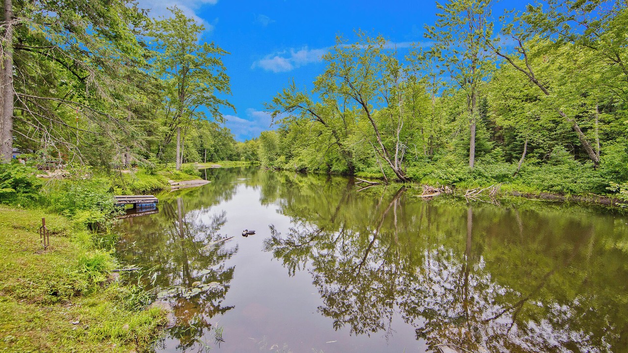 Photo of Outdoor in Sebright