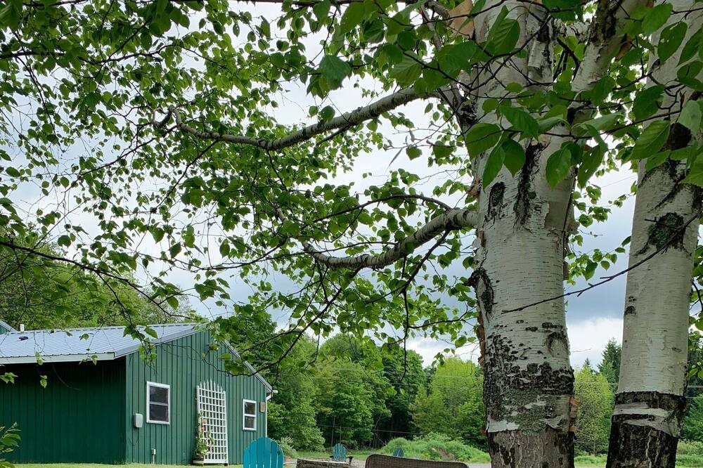 Photo of Outdoor in Delhi