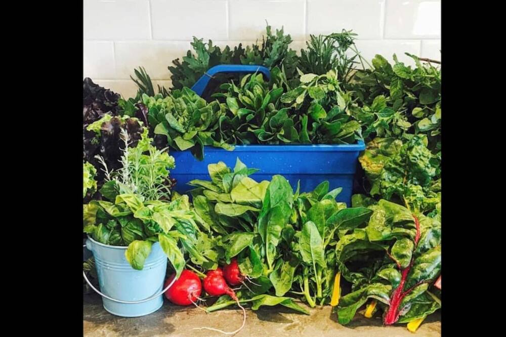 Photo of Outdoor in Delhi