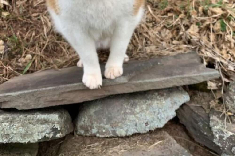 Photo of Outdoor in Delhi