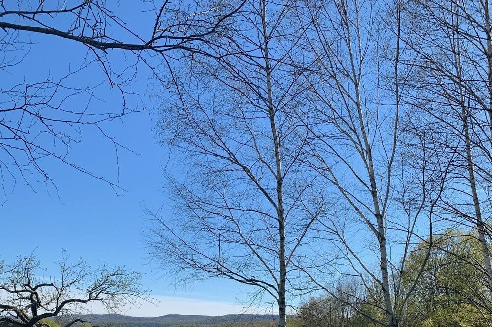 Photo of Outdoor in Delhi