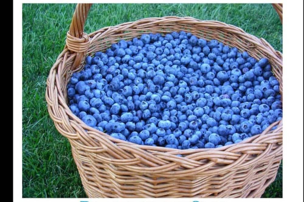 Photo of Bathroom in Delhi