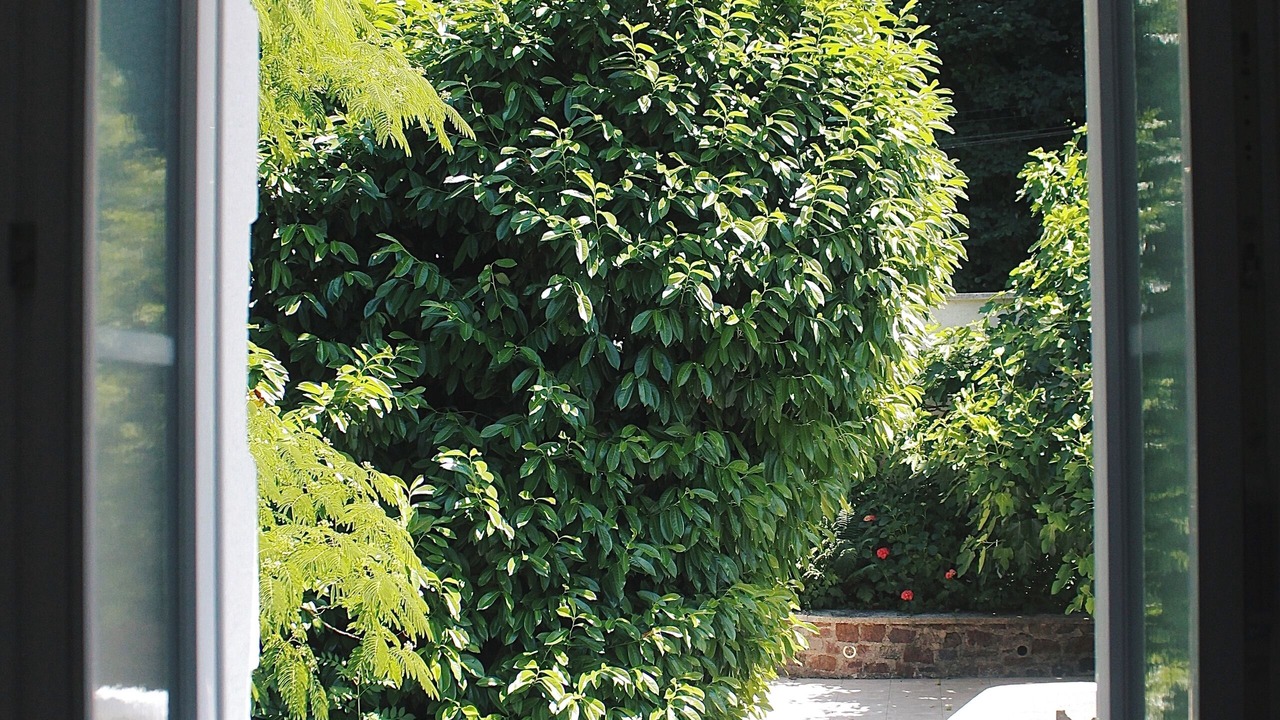 Photo of Bathroom in Aubin
