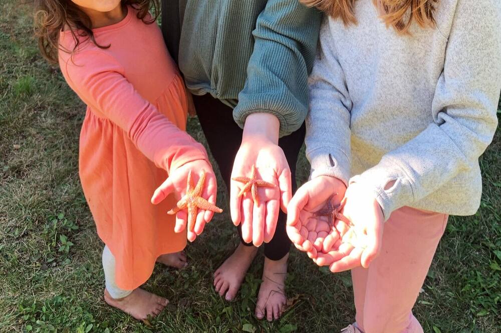 Photo of Others in Hancock