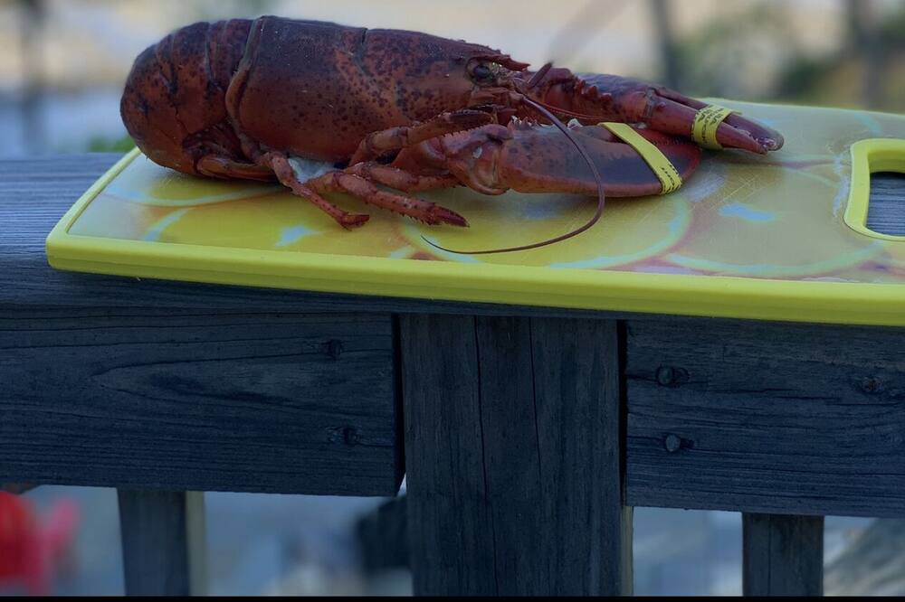 Photo of Others in Hancock