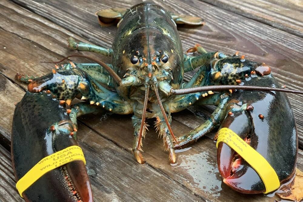 Photo of Others in Hancock