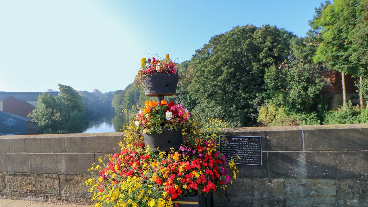 Photo of Others in Langley Moor