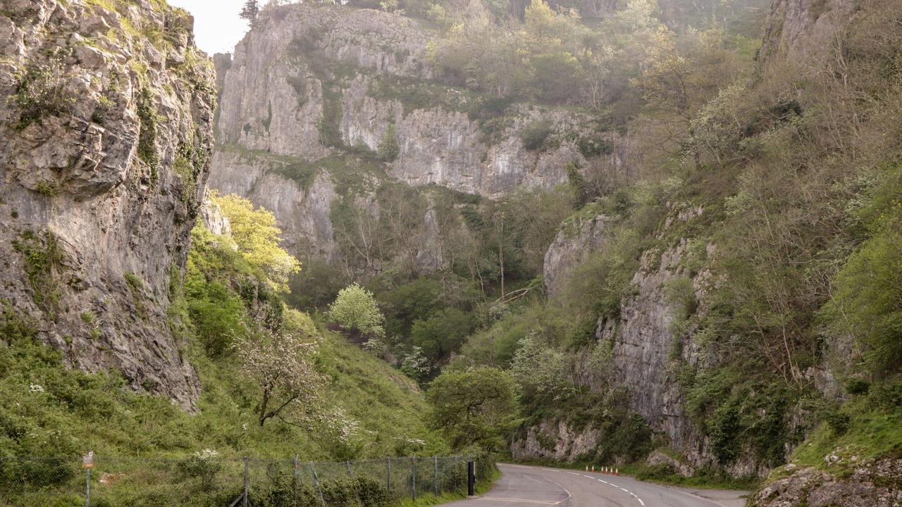 Photo of Others in Congresbury