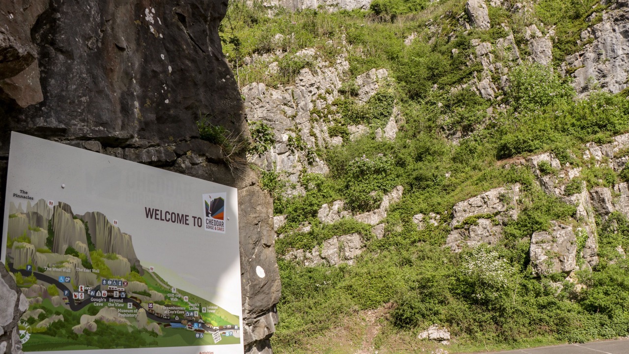 Photo of Others in Congresbury