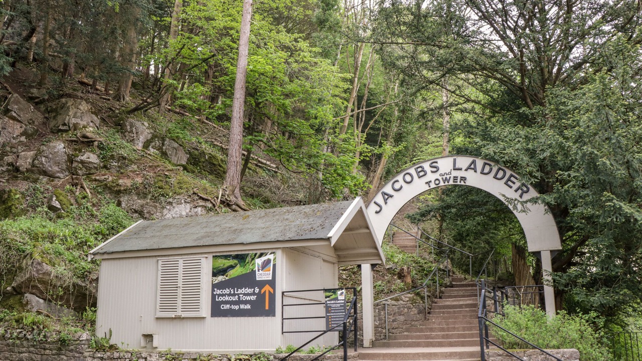 Photo of Others in Congresbury