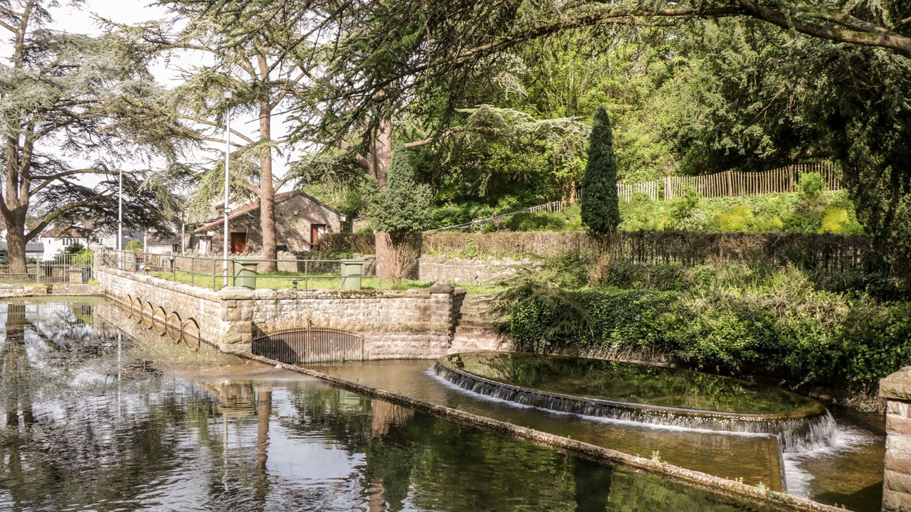 Photo of Others in Congresbury