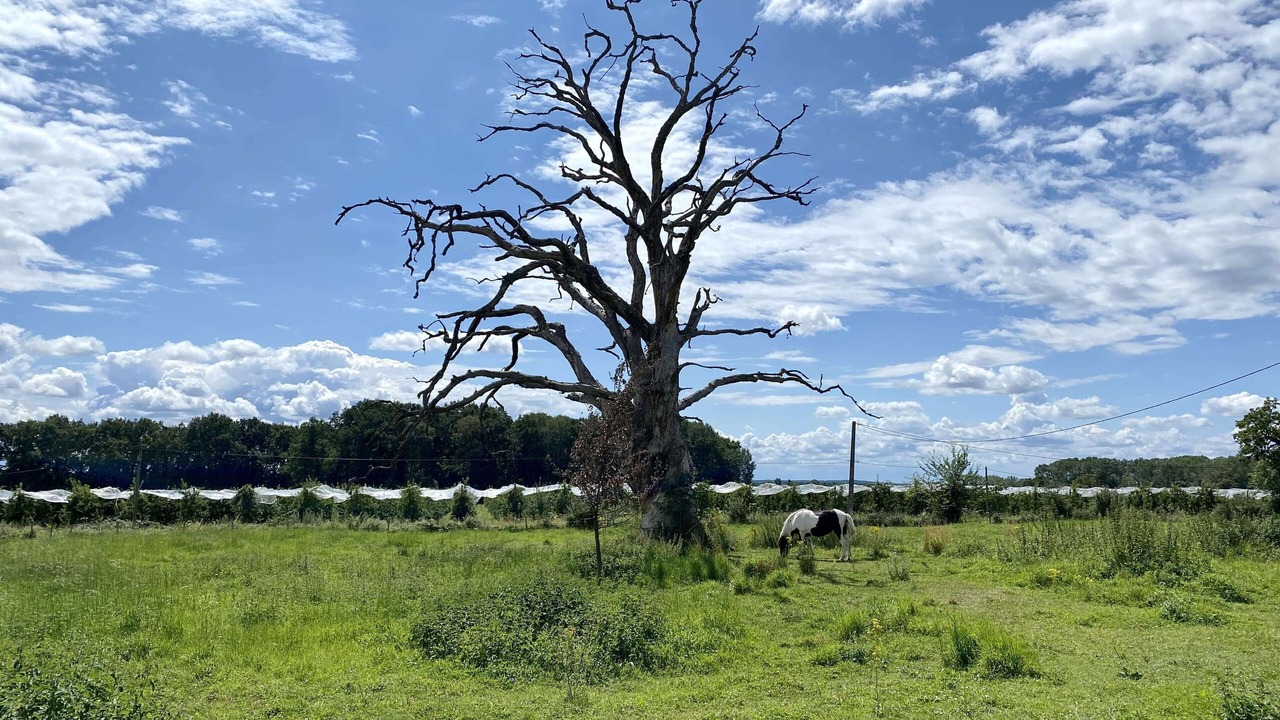 Photo of Outdoor in Noyant-Villages
