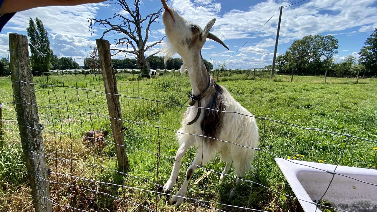 Photo of Others in Noyant-Villages