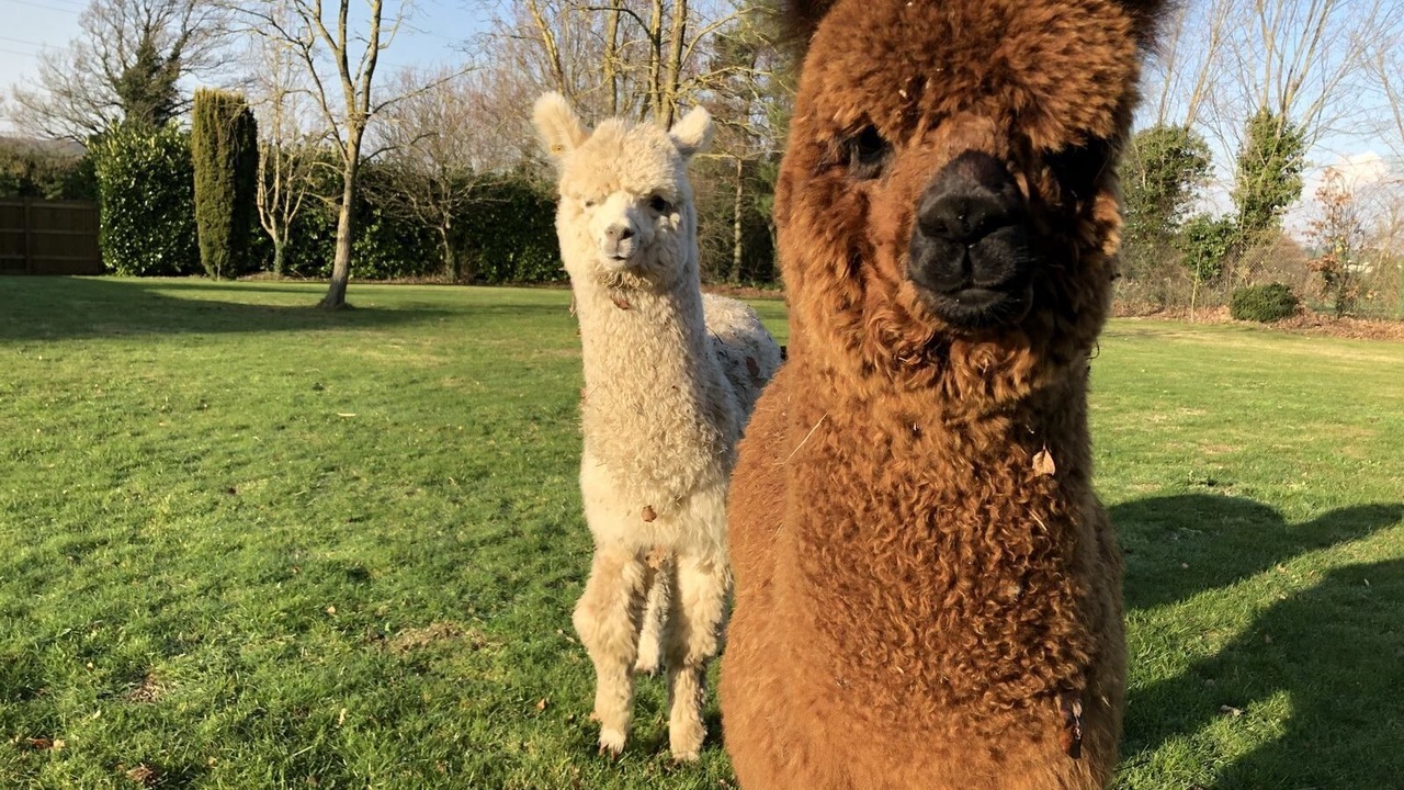 Photo of Outdoor in Sittingbourne