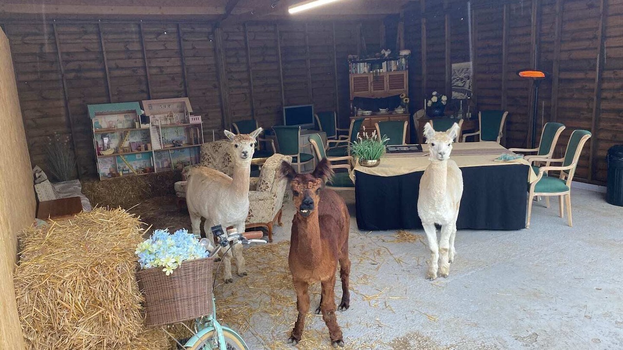 Photo of Others in Sittingbourne