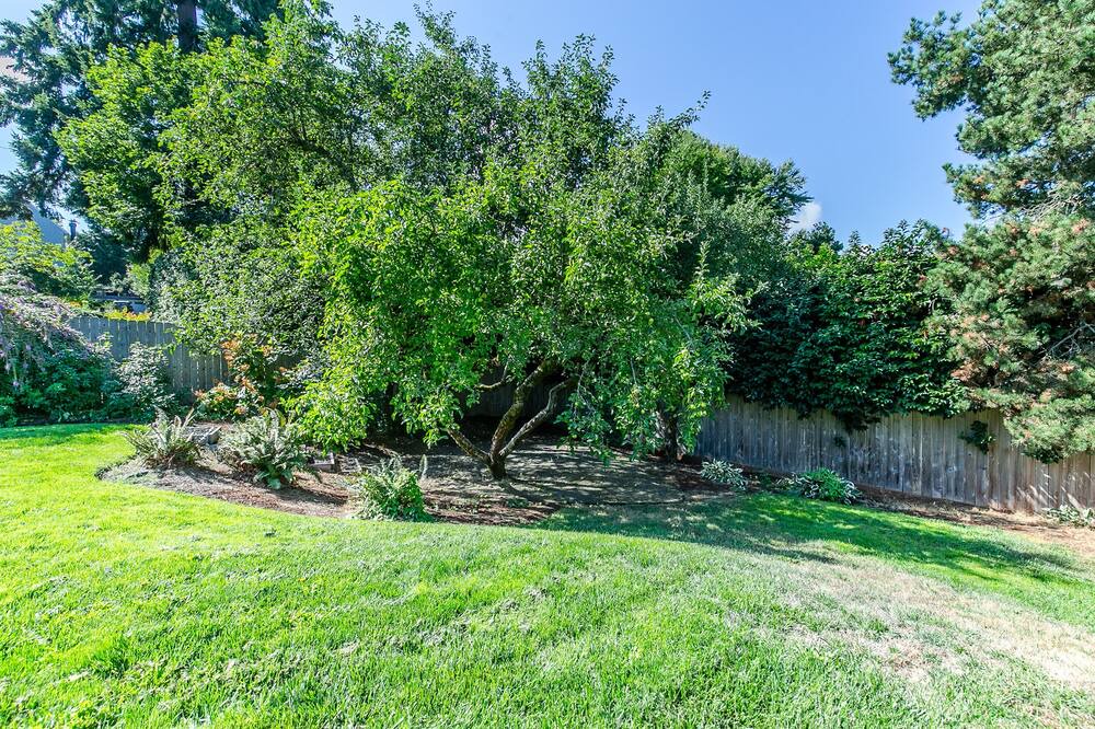 Photo of Outdoor in Amazon