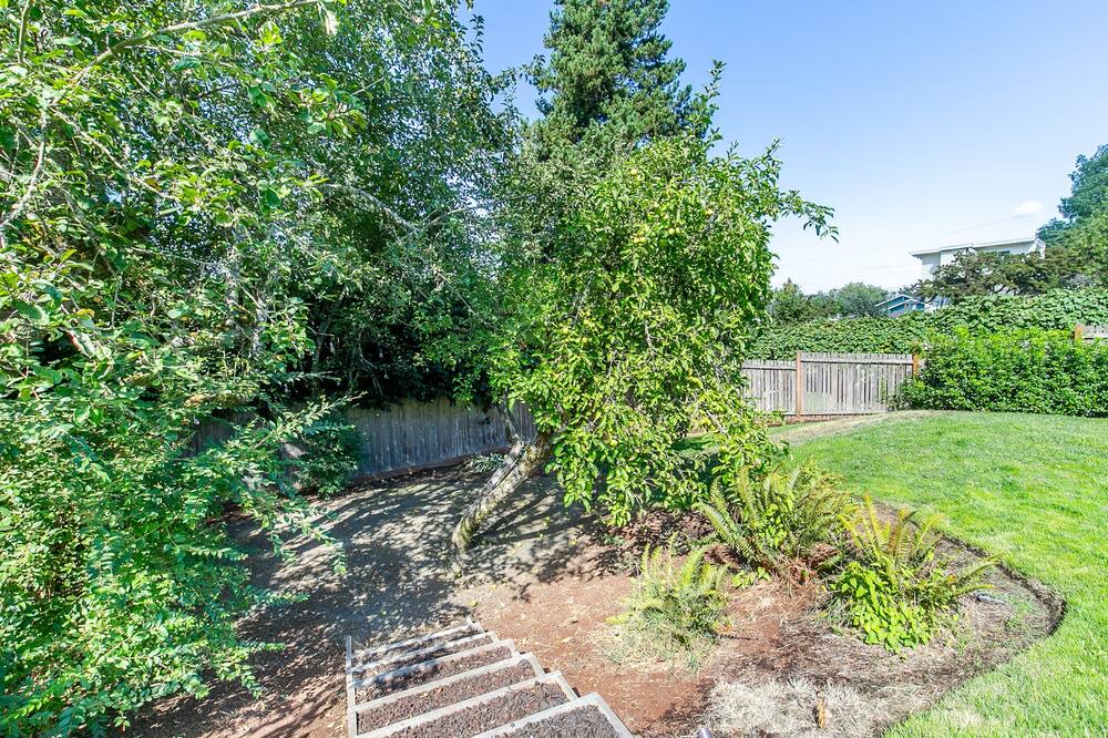 Photo of Outdoor in Amazon