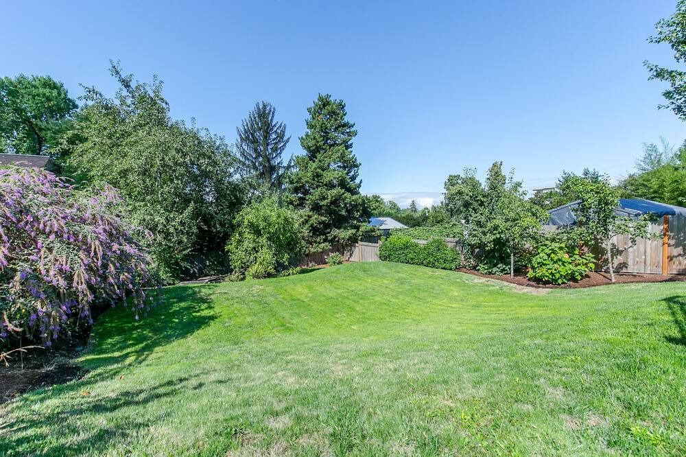 Photo of Outdoor in Amazon