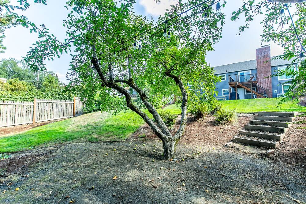 Photo of Outdoor in Amazon