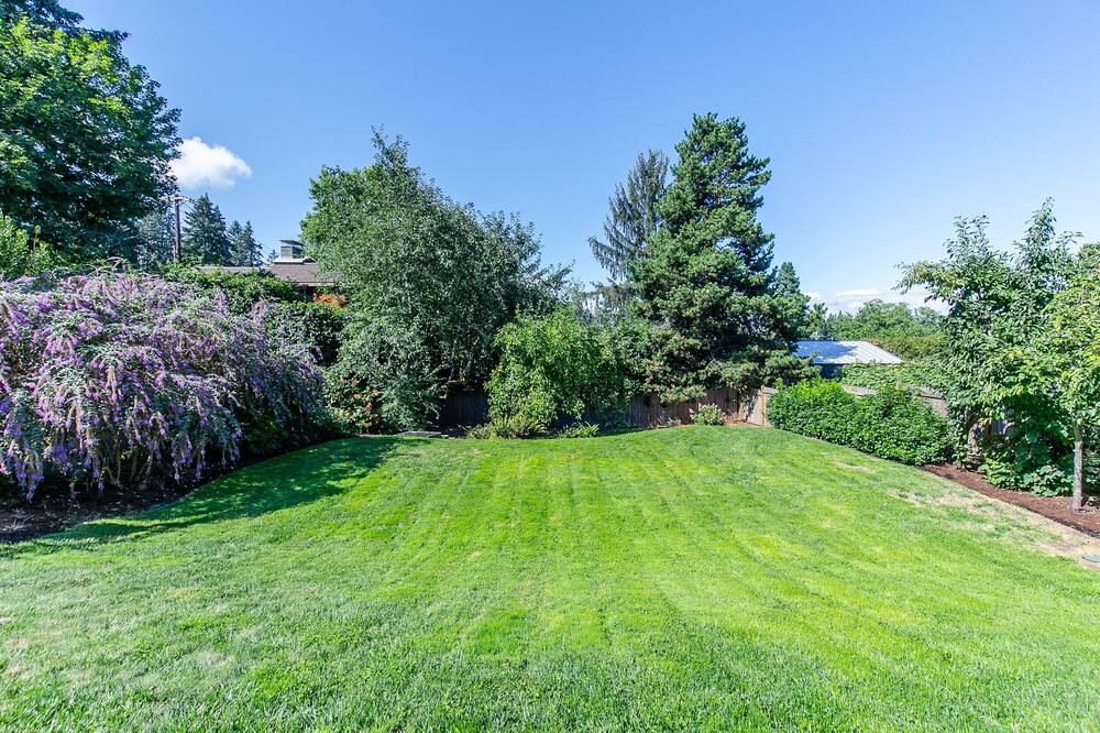 Photo of Outdoor in Amazon