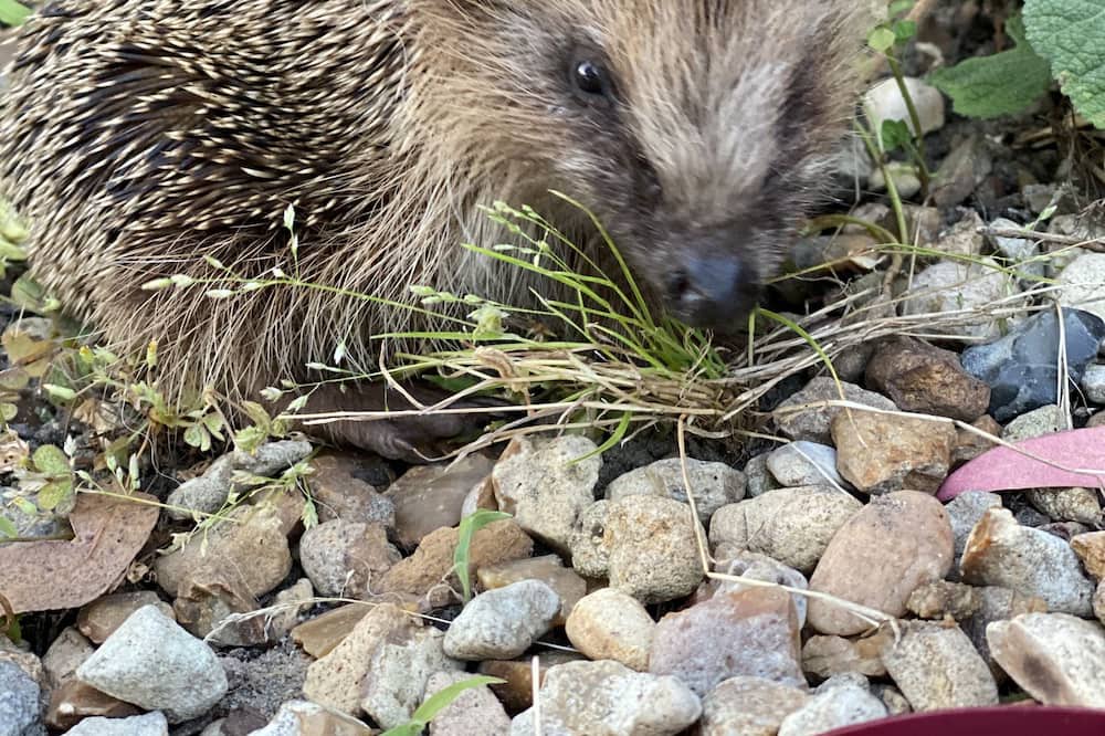 Photo of Outdoor in Oize