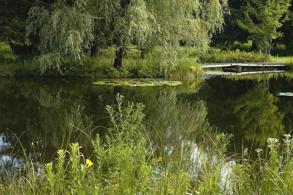 Photo of Others in Bovina Center