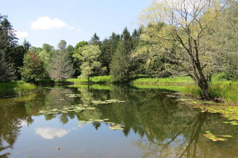 Photo of Others in Bovina Center