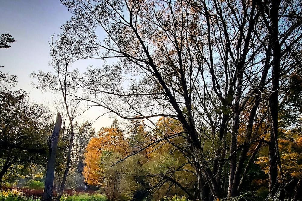 Photo of Others in Bovina Center