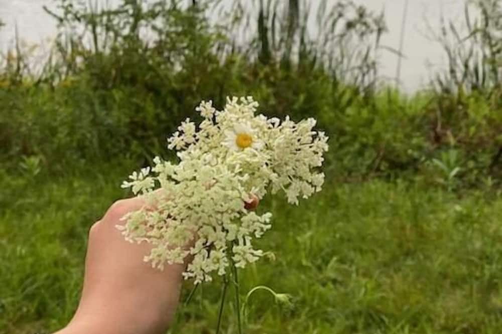 Photo of Others in Ouaquaga